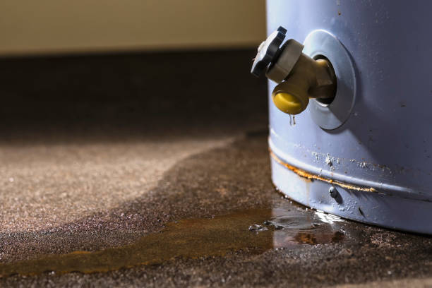 Best Professional water damage repair  in Exandria, AL