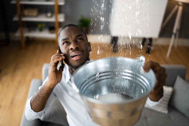 Best Water damage restoration near me  in Exandria, AL