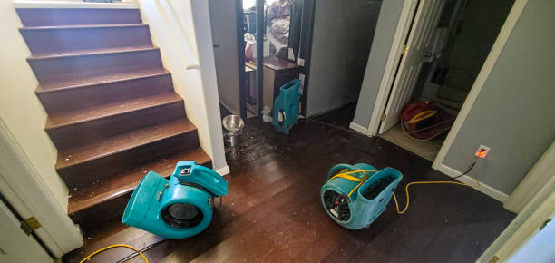 Best Residential water damage restoration  in Exandria, AL