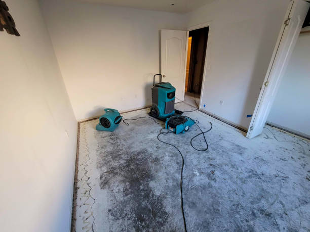 Best 24/7 water damage repair  in Exandria, AL