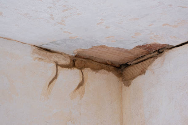 Best Flooded house restoration  in Exandria, AL