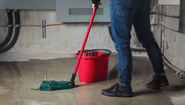 Best Water damage contractors near me  in Exandria, AL